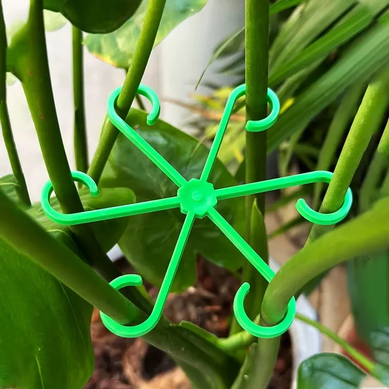 Flower Plant Stem Support Stak - Plant Support Stake ulasan dan harga