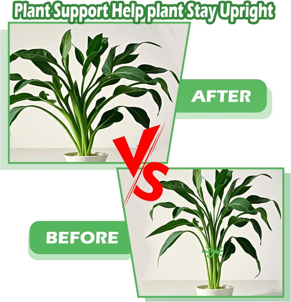 Flower Plant Stem Support Stak - Plant Support Stake ulasan dan harga