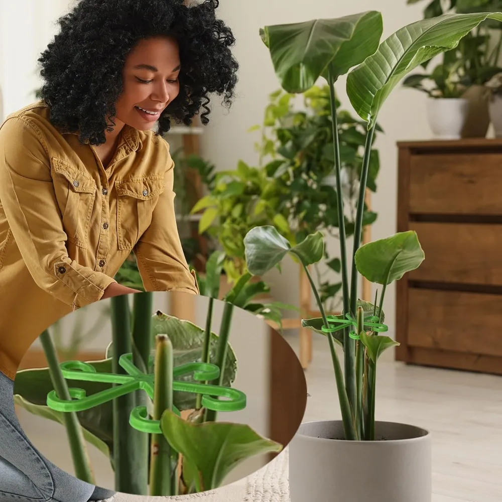 Flower Plant Stem Support Stak - Plant Support Stake ulasan dan harga