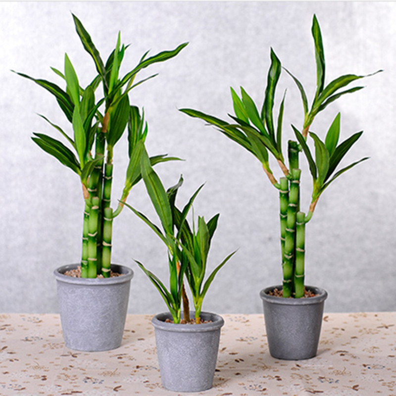 New 40cm Artificial Lucky Bamb - Succulent Set ulasan dan harga
