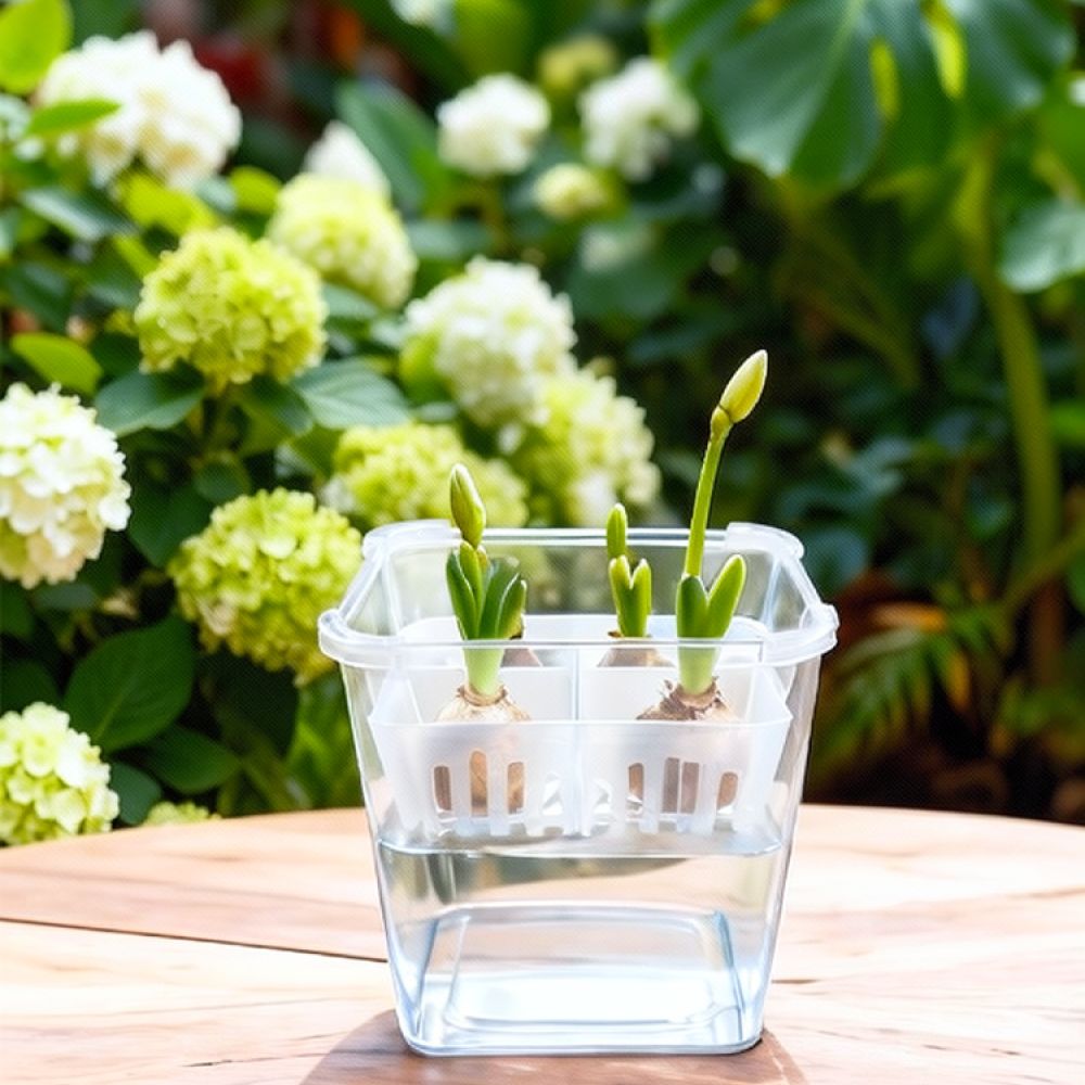 Hydroponic Vase For Tulip Lily - Indoor Plants ulasan dan harga