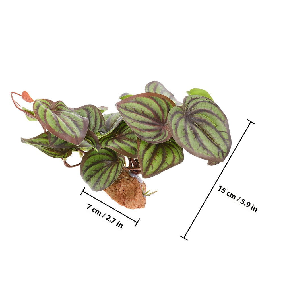 High Quality Simulation Terrar - Snake Plant ulasan dan harga