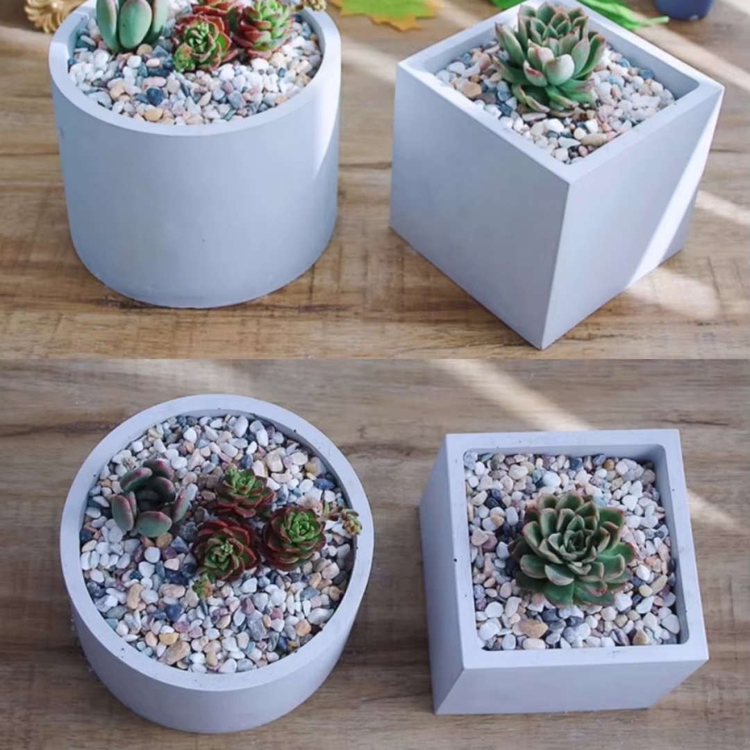 15cm Large Size Round Concrete - Succulent Set ulasan dan harga