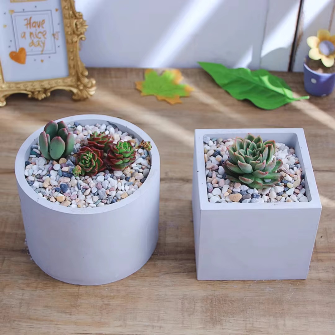 15cm Large Size Round Concrete - Succulent Set ulasan dan harga