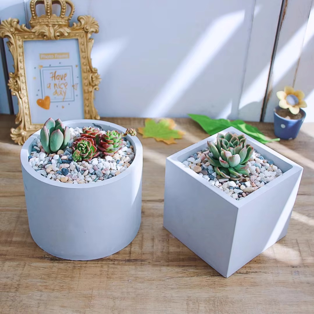 15cm Large Size Round Concrete - Succulent Set ulasan dan harga