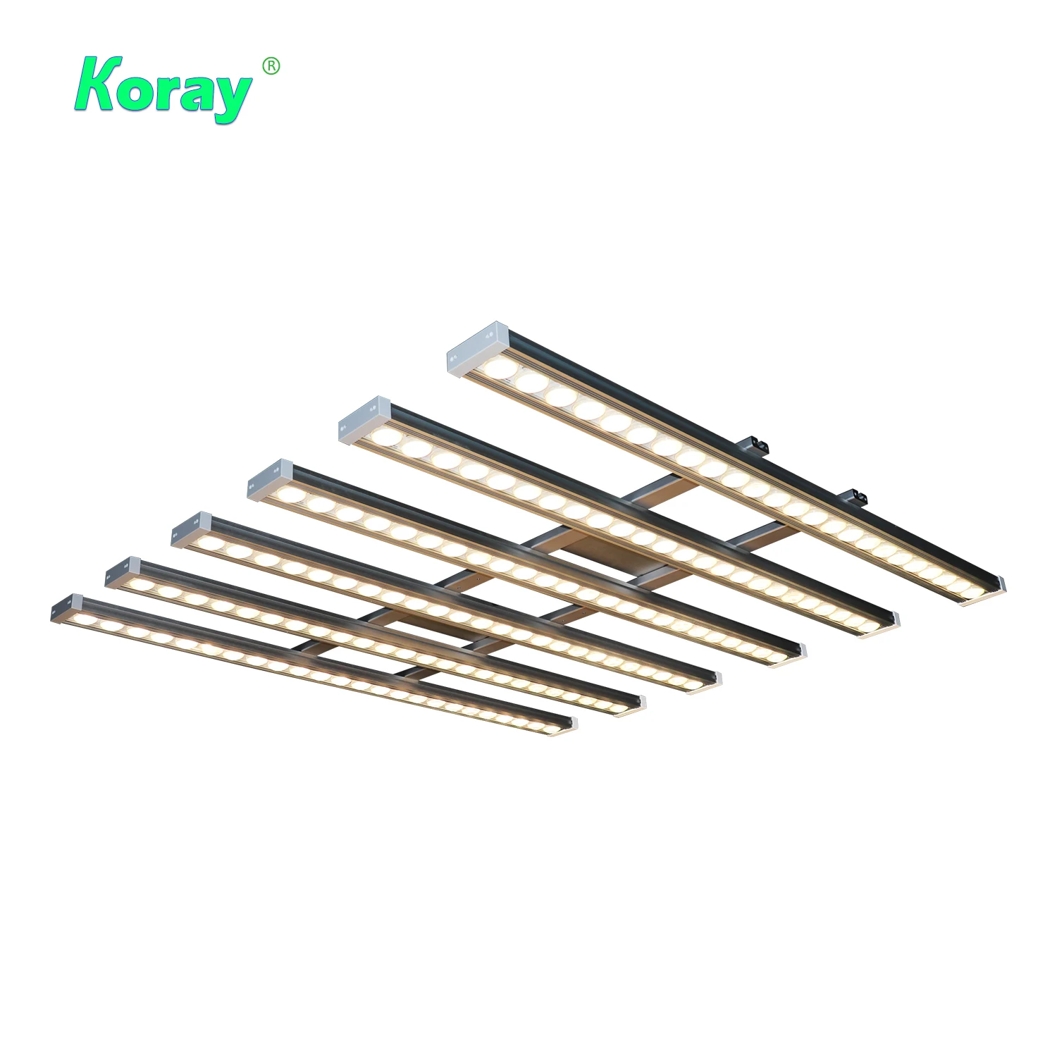Koray 900W Indoor full spectru - Indoor Plants ulasan dan harga