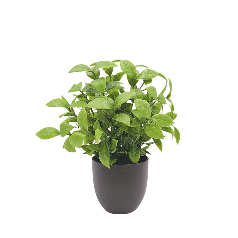 Simulation Green Plant Bonsai  - Snake Plant ulasan dan harga