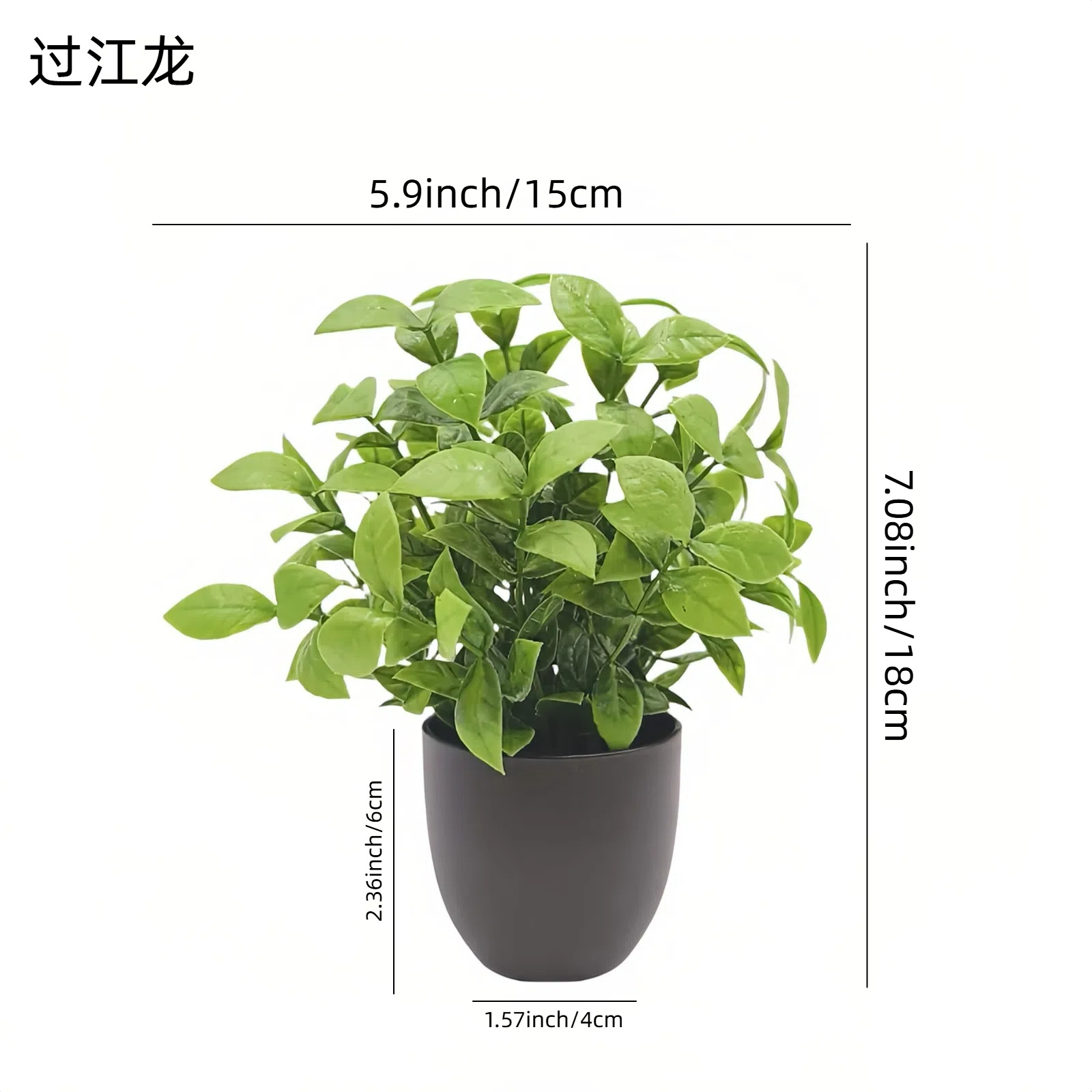Simulation Green Plant Bonsai  - Snake Plant ulasan dan harga