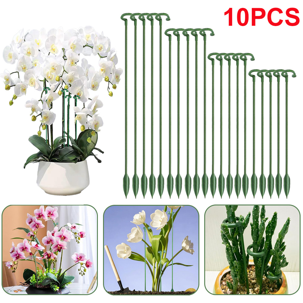 5/10pcs Plant Support Stakes P - Succulent Set ulasan dan harga