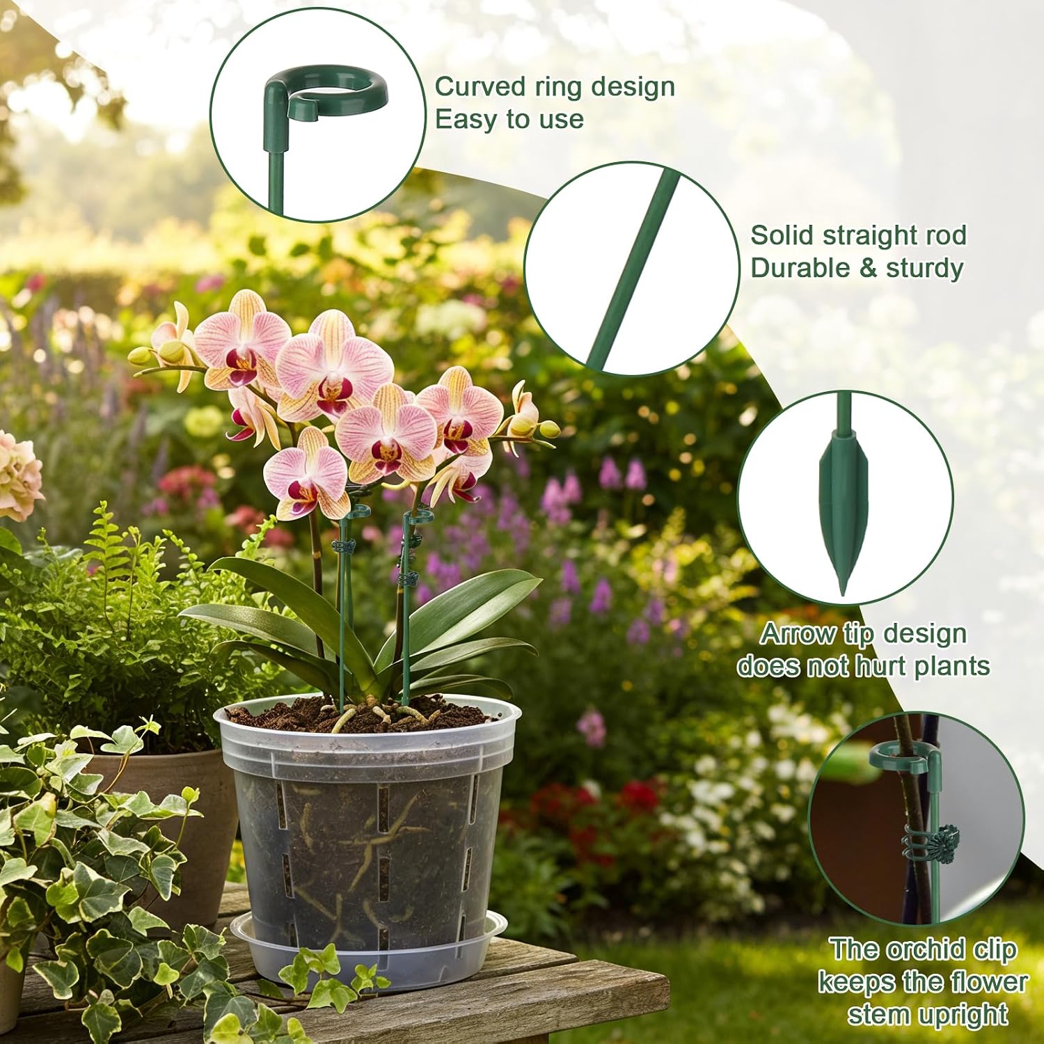 5/10pcs Plant Support Stakes P - Succulent Set ulasan dan harga